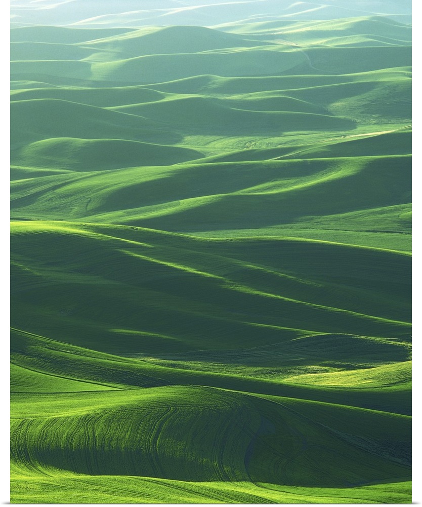 USA, Washington, Whitman County, Steptoe Butte State Park, Palouse, Wheat Fields.