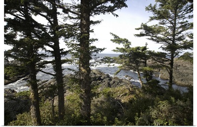 Wild Pacific Trail, Pacific Rim National Park Reserve, Ucluelet, BC, Canada