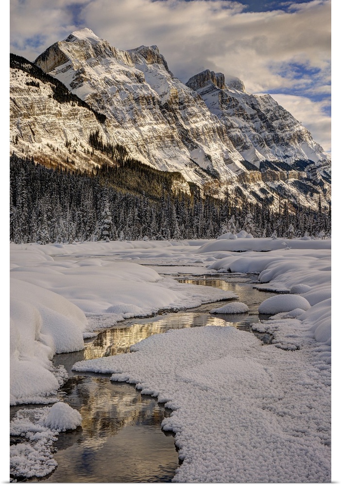 Winter in jasper national park, Alberta, Canada.