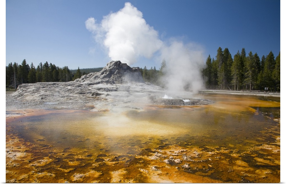 Wyoming, Yellowstone National Park, Upper Geyser Basin, Crested Pool, colorful bacterial mat.