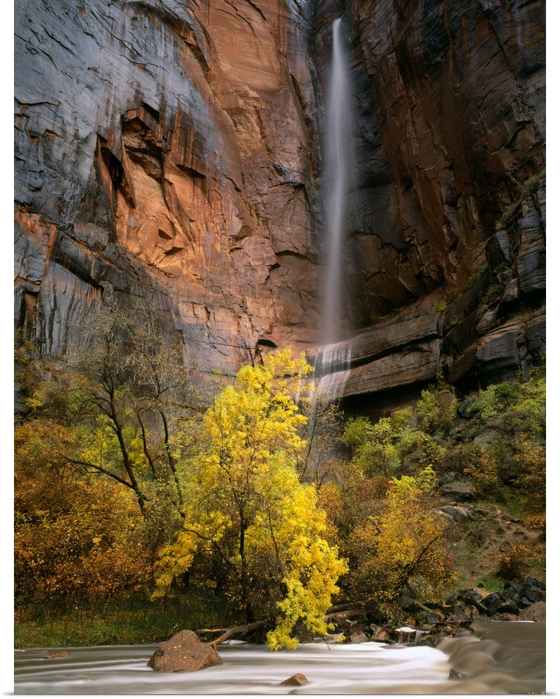 Zion National Park, Utah. Ephemeral waterfall pours over cliff above Virgin River during autumn rain storm. Temple of Sina...