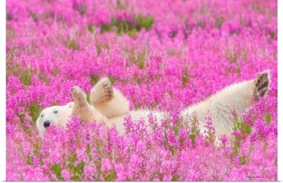 Polar Bear Waving In A Bed Of Fireweed