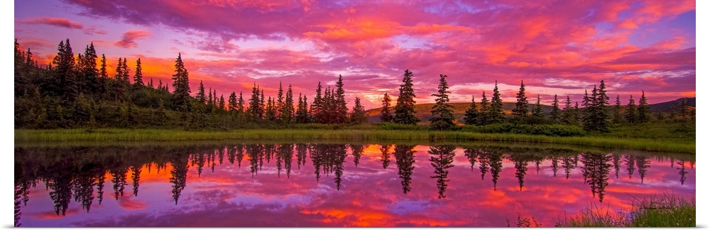 Sunset reflected in Nugget Pond, Denali National Park, Alaska.