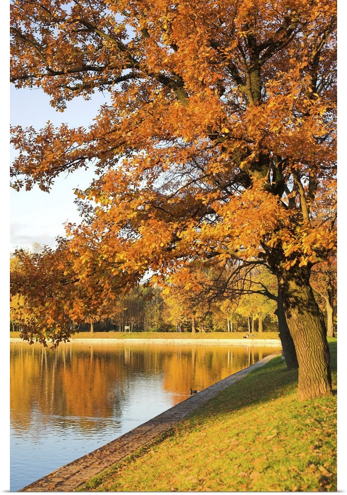 Autumn Park And Lake