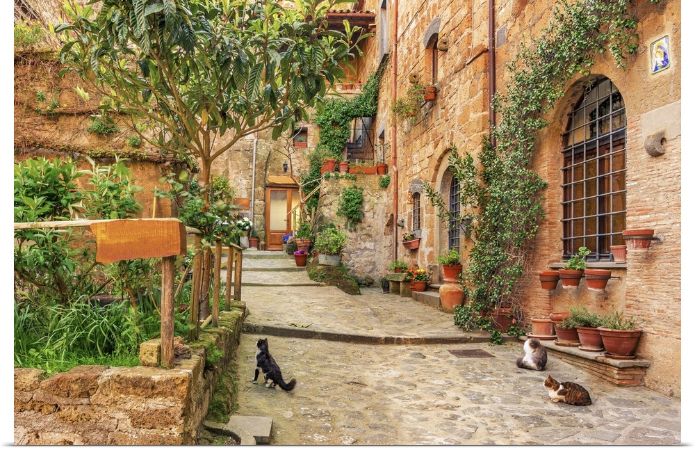 Beautiful alley in old town Tuscany.
