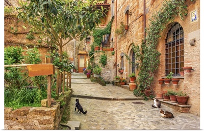Beautiful Alley In Old Town Tuscany