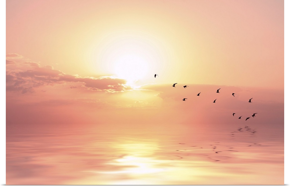 Beautiful sky on sunset or sunrise with flying birds to the sun, natural background.