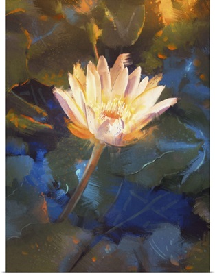 Beautiful Yellow Lotus Blossom, Single Waterlily Flower Blooming On Pond