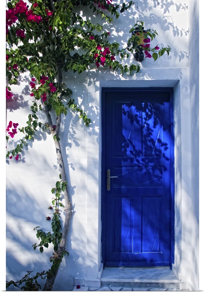 Blue door in Greece with plant climbing on the wall.