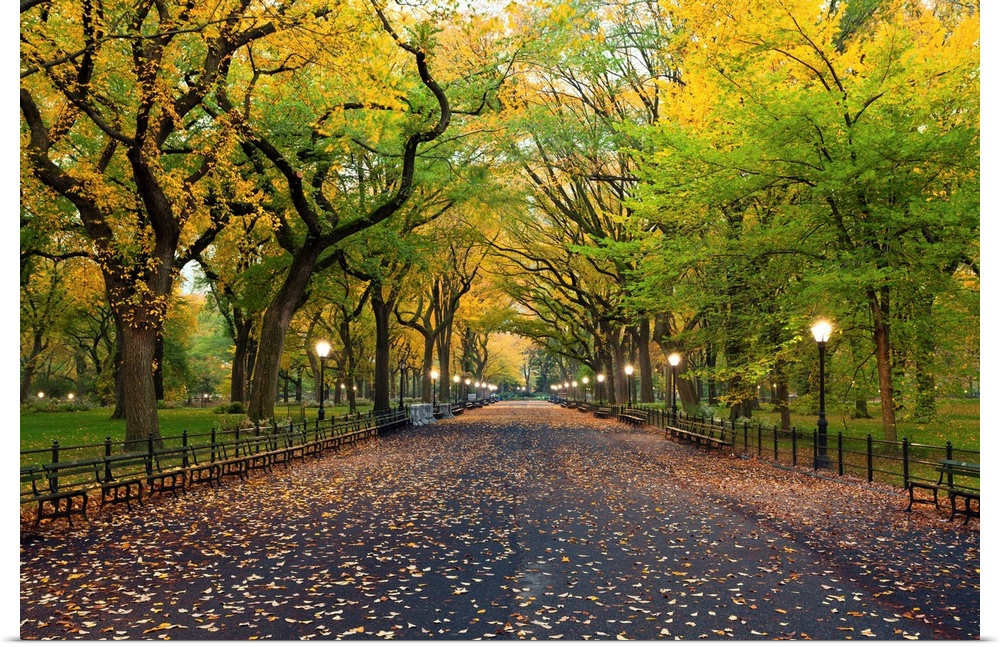 Image of The Mall area in Central Park, New York City in autumn.