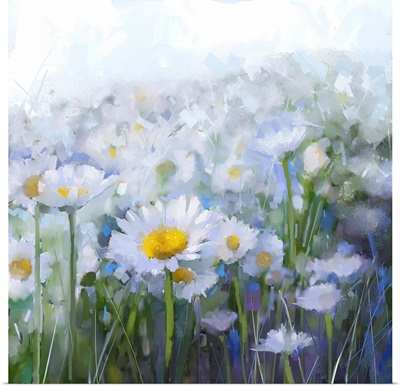 Daisy Flowers, Abstract Flower
