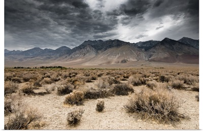 Dark Clouds In Death Valley
