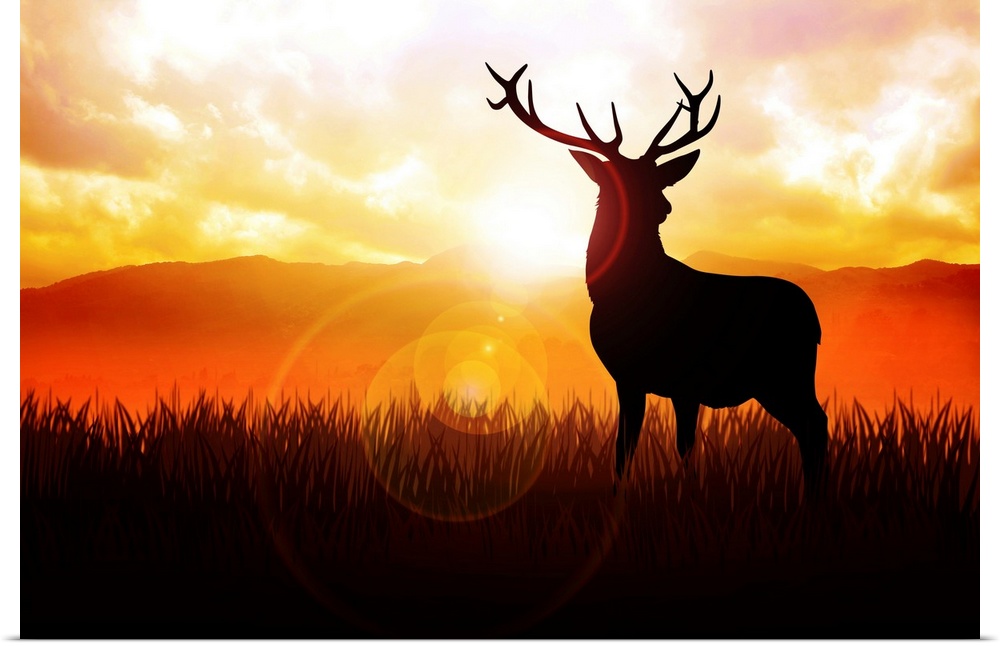Silhouette illustration of a deer on meadow during sunrise.
