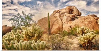 Desert Landscape With Red Rock Buttes