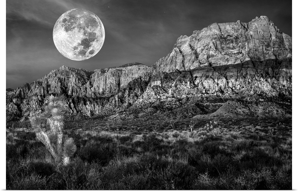 Monochrome of desert mountains and Joshua trees under a full moon.