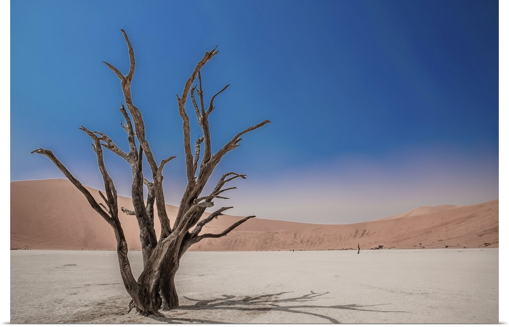 Deadvlei in the Namib desert of Namibia is a dry landscape surrounded by high dunes, the cracked earth is broken by dead c...