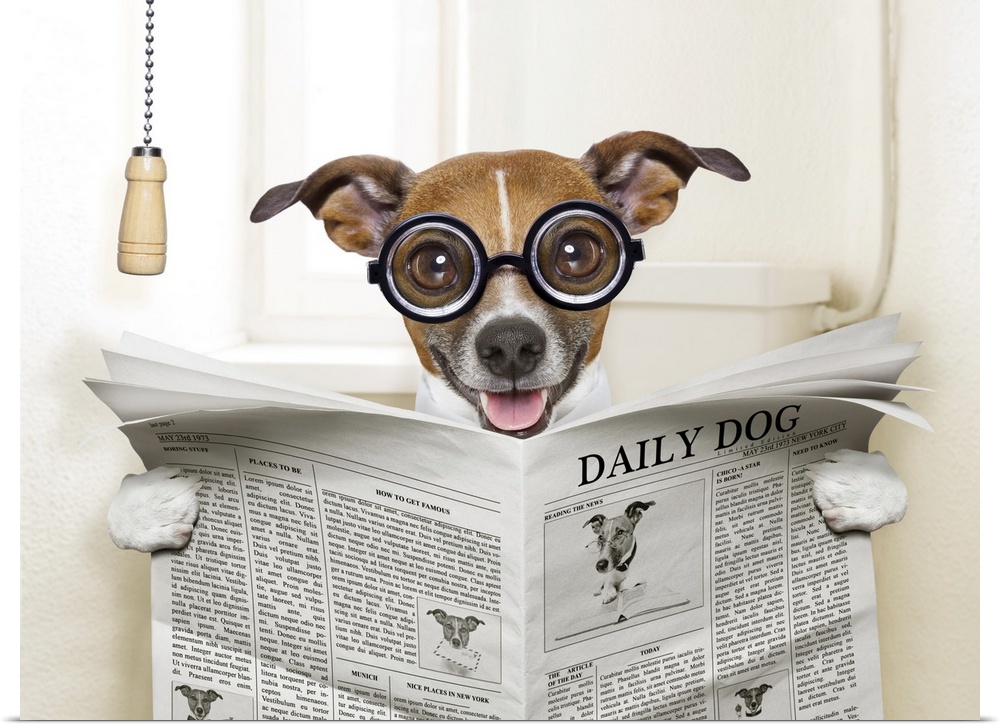 Crazy, silly dog sitting on toilet and reading magazine.