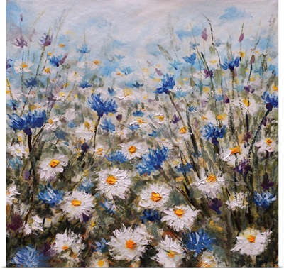 Flowers, Glade Of Cornflowers And Daisies, Summer Flowers