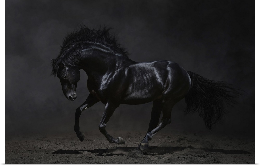 Low-key photography of a galloping black horse.