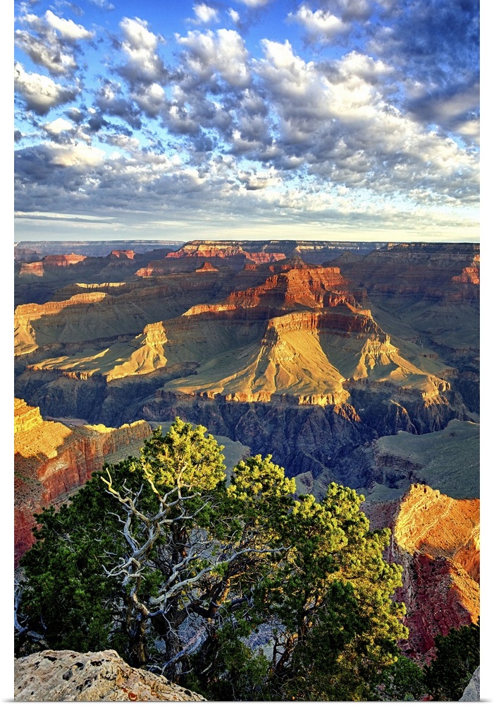 Sunrise at Grand Canyon, Arizona, USA.