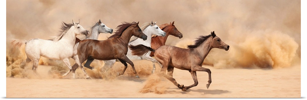 A herd gallops in the sand storm.