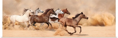 Herd Gallops In The Sand Storm