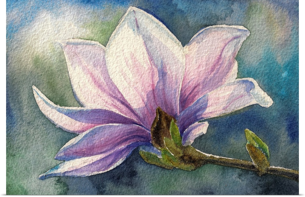 Magnolia blossom on branch. Originally created with watercolors.