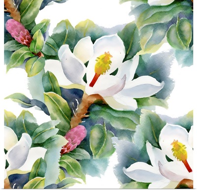 Magnolias Pattern