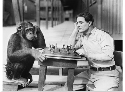 Man Playing Chess With Monkey