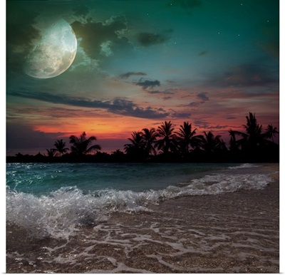 Moon, Ocean, And Palm Trees