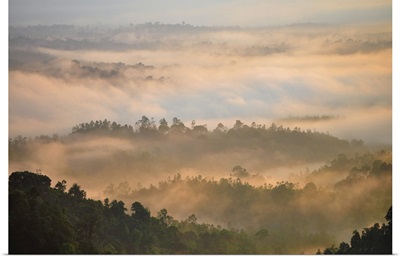 Morning Mist At Tropical Mountain Range, Malaysia