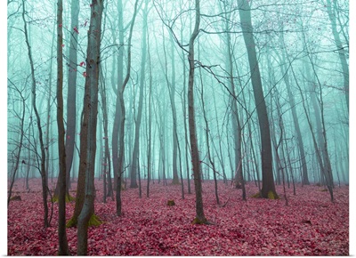 Mystical Forest In Red And Turquoise