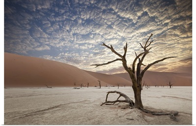 Namib Desert Sossusvlei Salt Lake