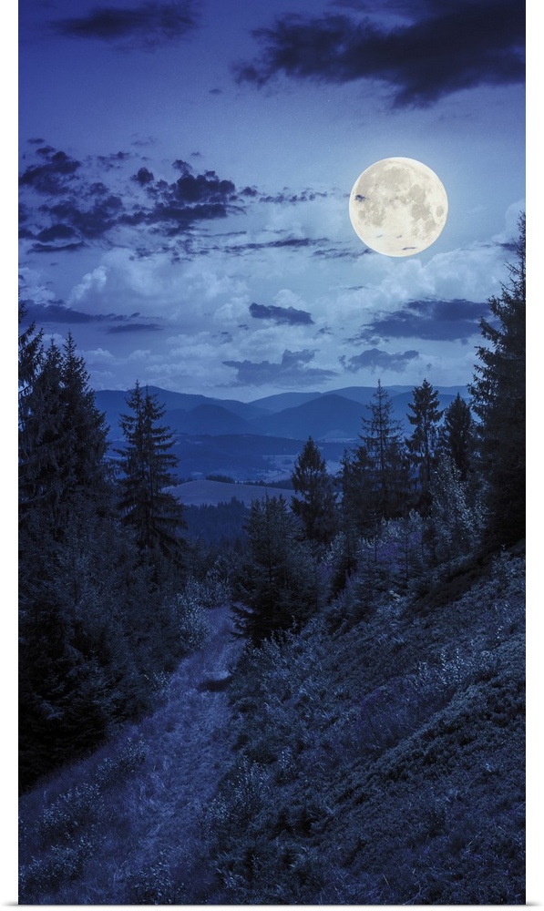 Wide trail in the shade of pine trees of green forest in mountains at night in full moon light.
