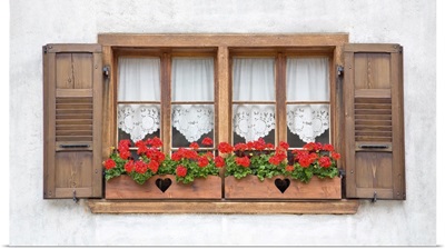 Old European Wooden Windows