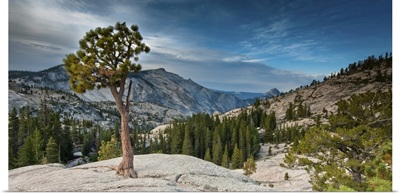 Olmsted Point, Yosemite