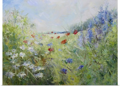Painted Poppies On A Summer Meadow