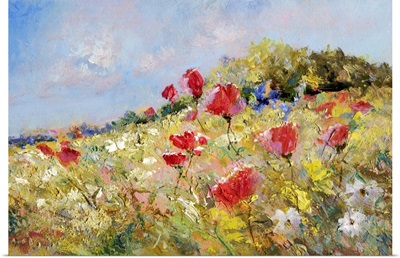 Painted Poppies On Summer Meadow
