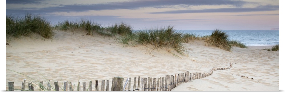 Panorama landscape of sand dunes on beach at sunrise.