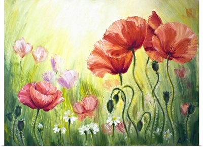 Poppies In The Morning