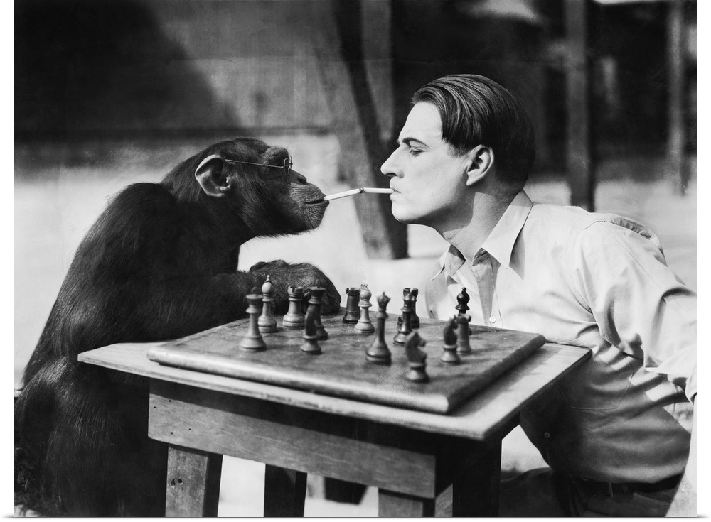 Profile of a young man and a chimpanzee smoking cigarettes and playing chess.