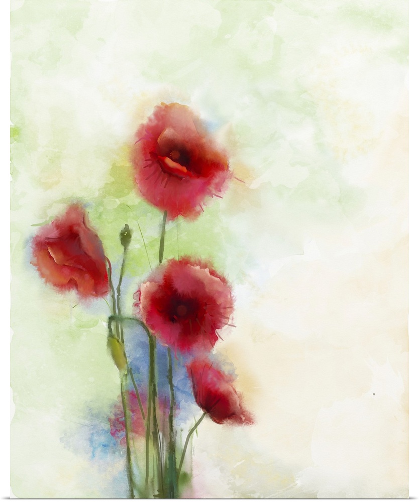 Red poppy, originally watercolor painting.