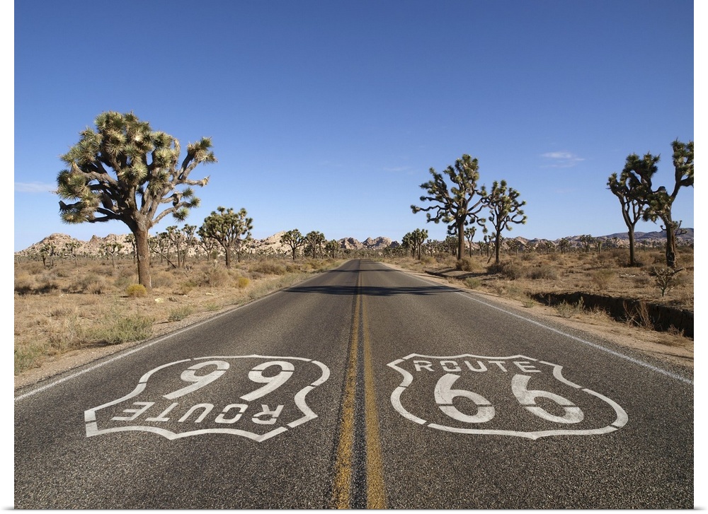Route 66 with Joshua Tree trees deep inside California's Mojave Desert.