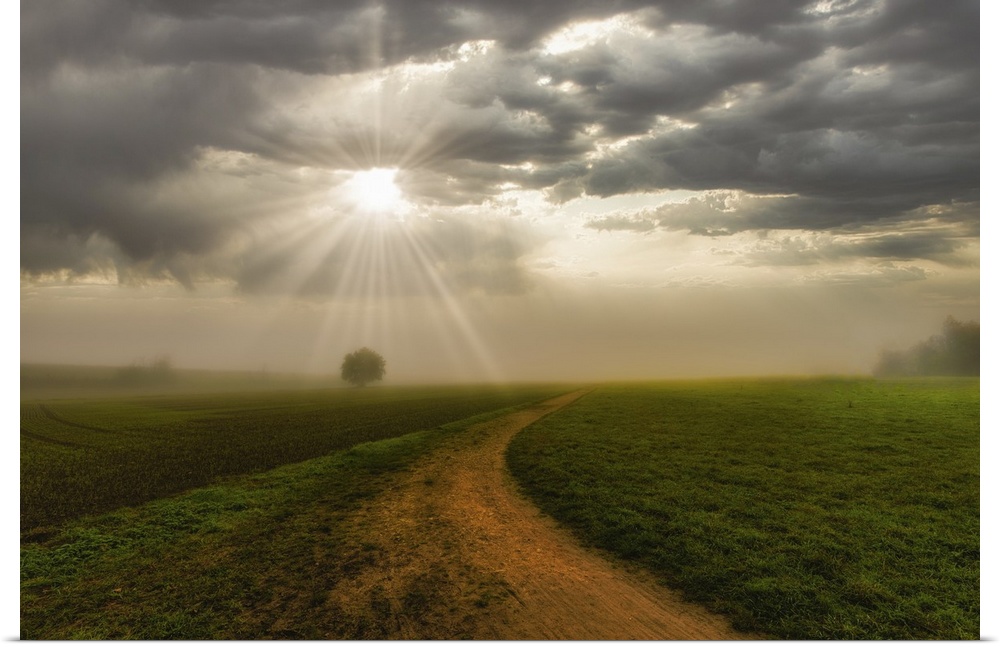 Rural landscape, foggy sunrise with sunbeams breaking through the clouds, a tree and a path towards the horizon.