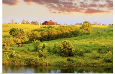 Rural Landscape In Central Kentucky, Evening