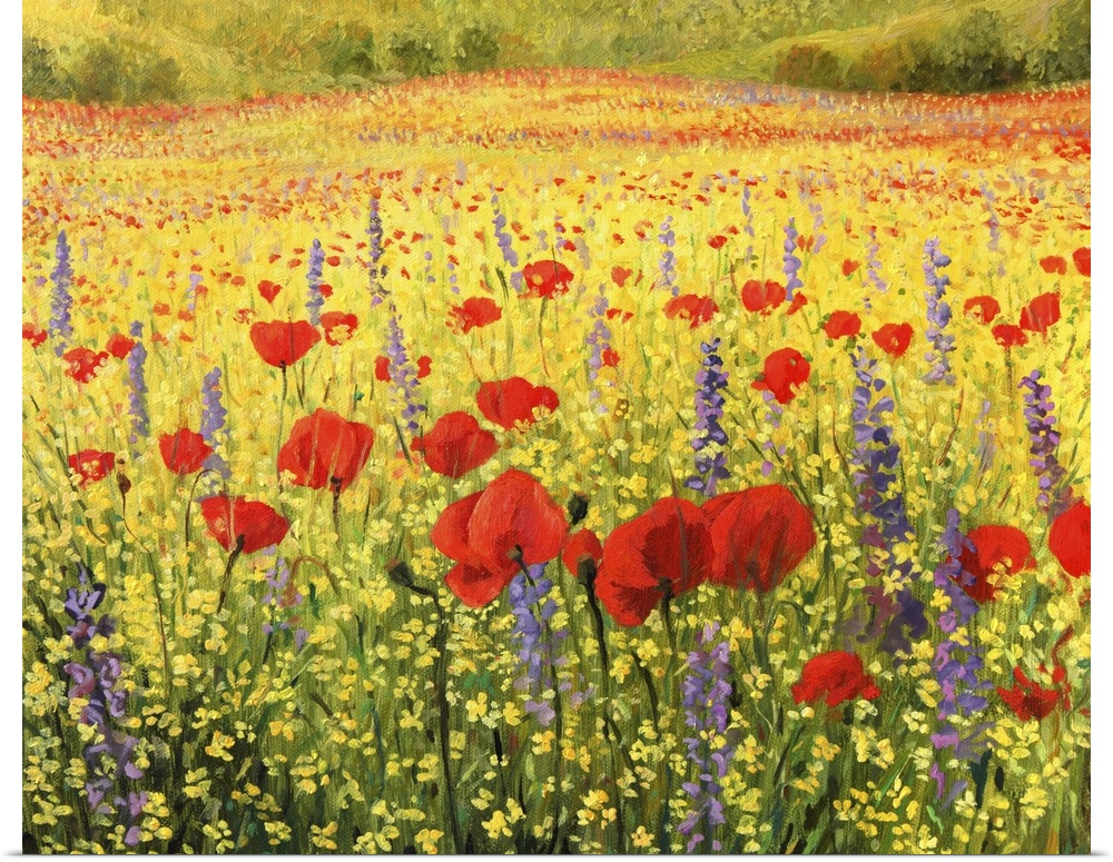 A colorful field with poppies.