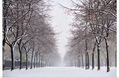 Snow In Paris