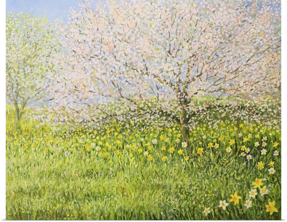 Originally an oil painting of a springtime natural landscape with blooming trees and colorful meadow full of daffodils.