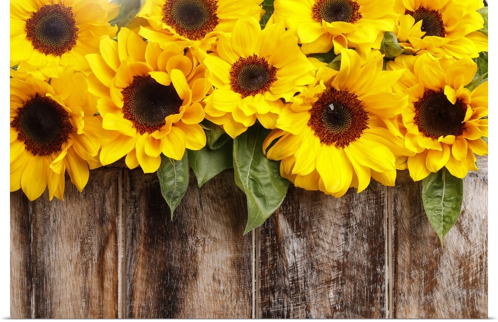 Sunflowers on wooden background.