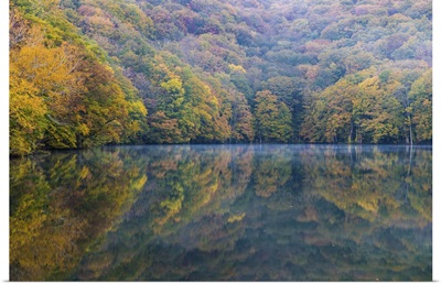 Togakushi's Lake On An Autumn Morning